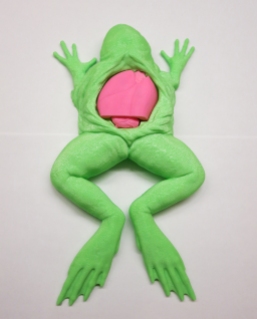 Frog with